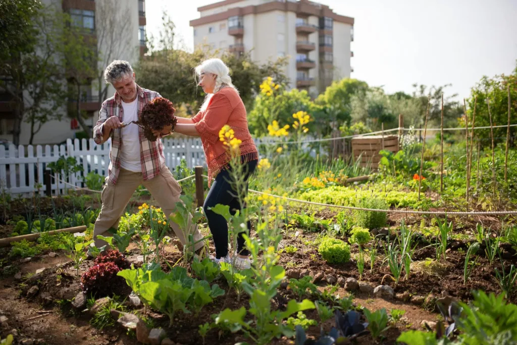 Two smiling seniors out working in a vegetables garden